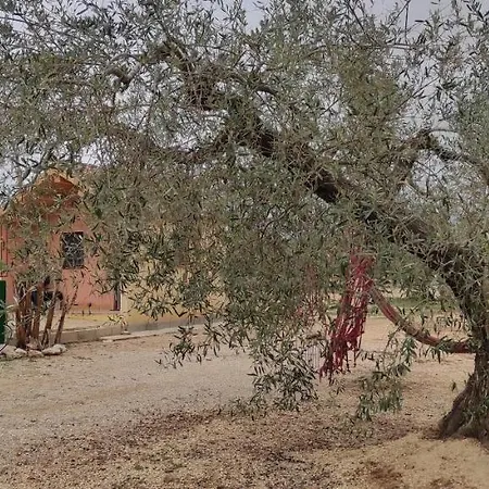 Caseta 